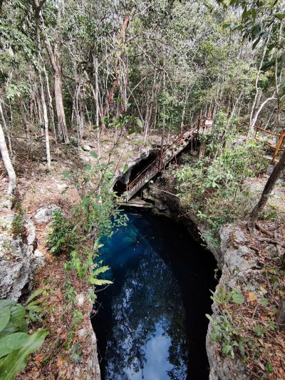Cozumel - April 2022 (a big thanks to our friend Hans Vermes for sharing his pictures) Vue of the Cenotes : The Pit, from above